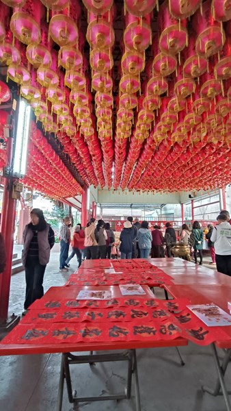 馬躍金程 揮毫迎春6