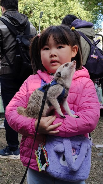 龍馬精神 揮毫迎春10