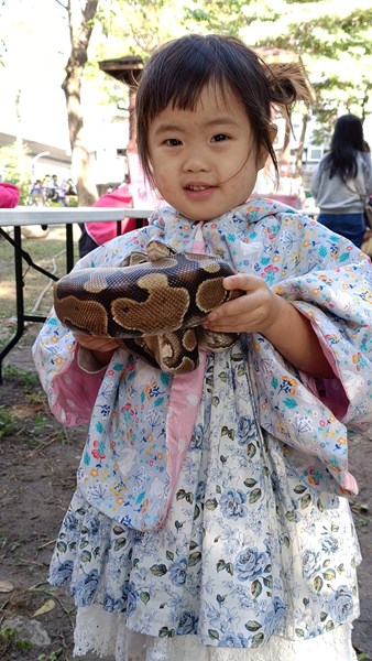 龍馬精神 揮毫迎春16