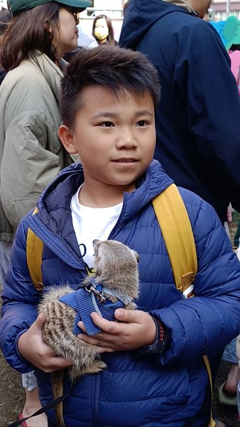 龍馬精神 揮毫迎春21