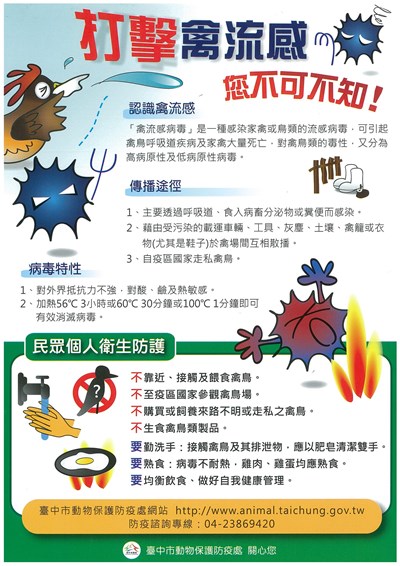 打擊禽流感宣導圖卡