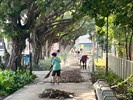 國光里3