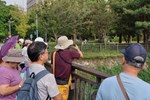 「綠川生態夏令營：從綠川看河川生態」活動實況